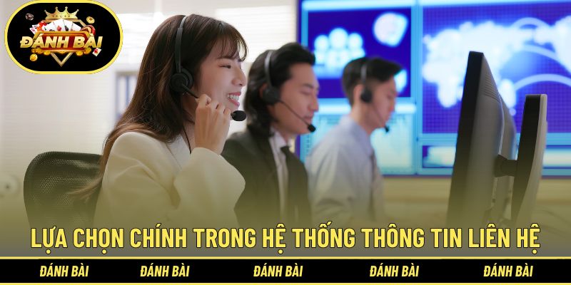 Các lựa chọn chính trong hệ thống thông tin liên hệ