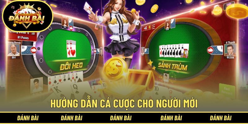 Quy trình tham gia săn thưởng