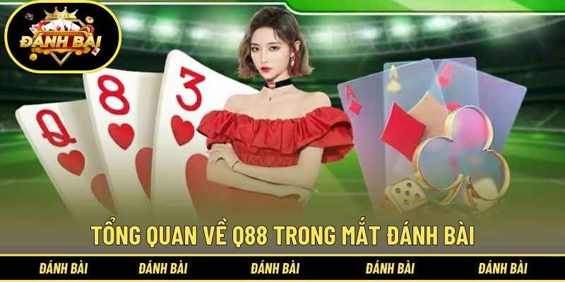 Tìm hiểu tổng quan về Q88 trong mắt Đánh bài